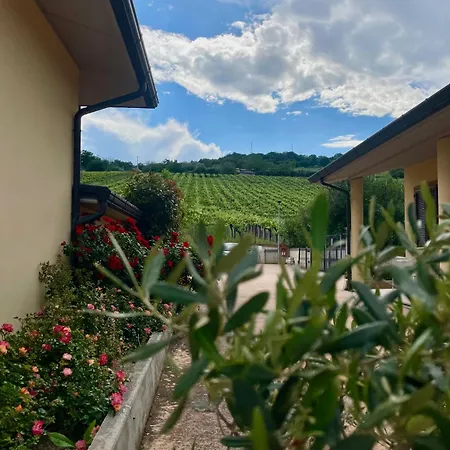 Oda ve Kahvaltı Vigneto - Italian Restaurant &