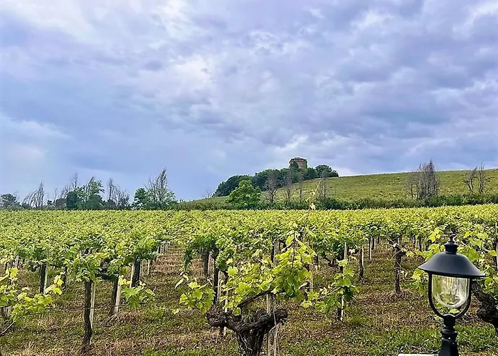 Vigneto - Italian Restaurant&b&b Bed & Breakfast Villa Rosa Di Martinsicuro