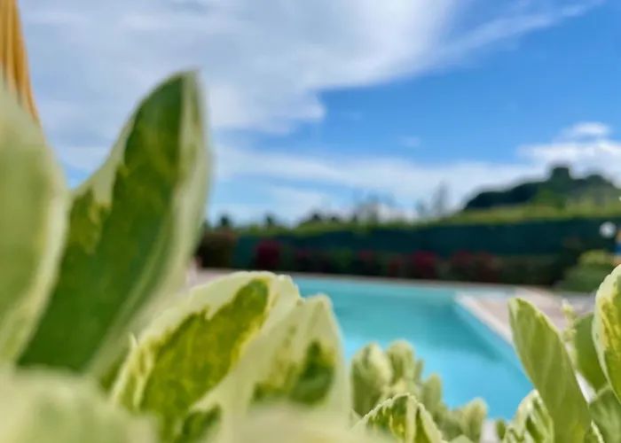 Vigneto - Italian Restaurant&b&b Villa Rosa Di Martinsicuro