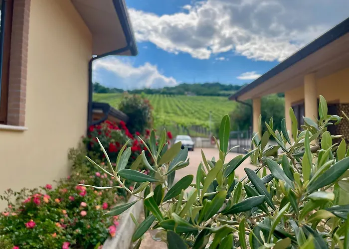 Bed & Breakfast Vigneto - Italian Restaurant&b&b 4*