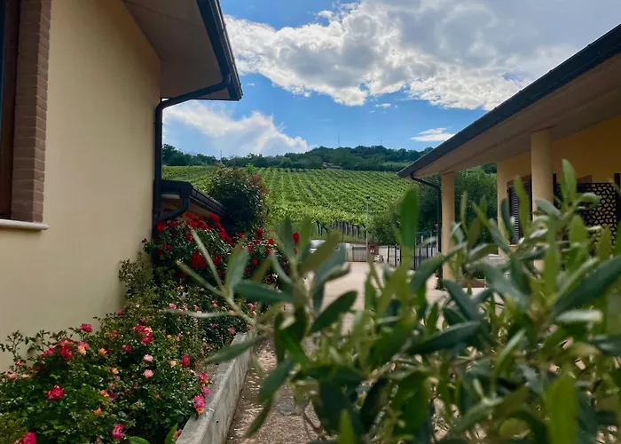 Bed & Breakfast Vigneto - Italian Restaurant&b&b