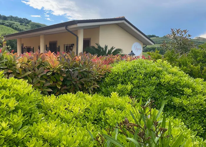 Vigneto - Italian Restaurant&b&b 4* Villa Rosa Di Martinsicuro