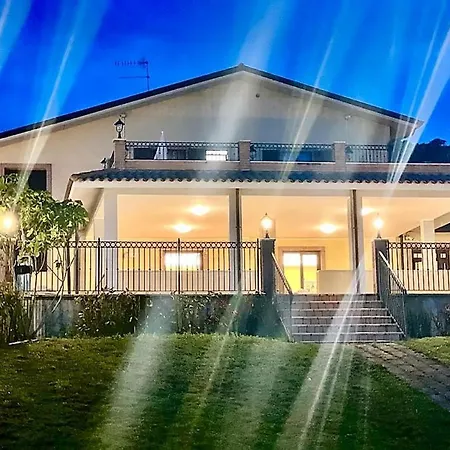 Vigneto - Italian Restaurant &