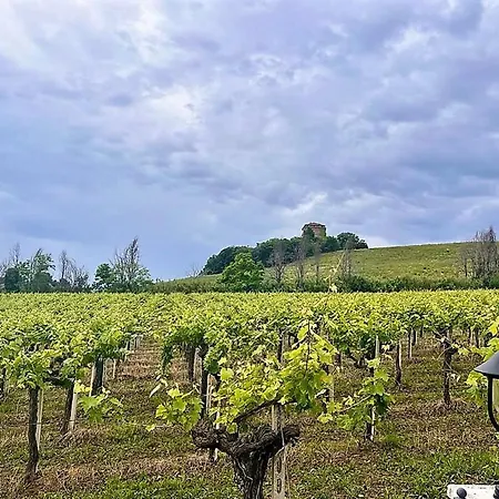 Vigneto - Italian Restaurant & Alojamento de Acomodação e Pequeno-almoço Villa Rosa Di Martinsicuro