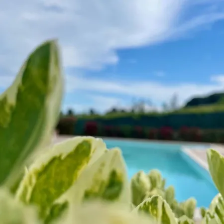 Vigneto - Italian Restaurant & Villa Rosa Di Martinsicuro
