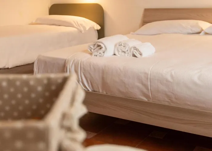 Vigneto - Italian Restaurant &